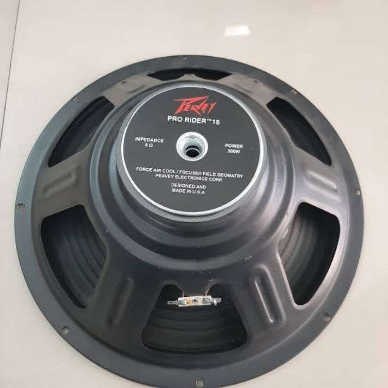 SPEAKER COMPONENT PRORIDER 15/300 SPEAKER 15 INCH 300 WATT