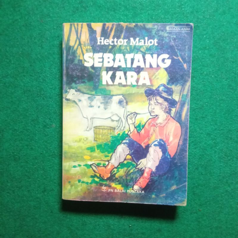 Novel Sebatang Kara - Hector Malot