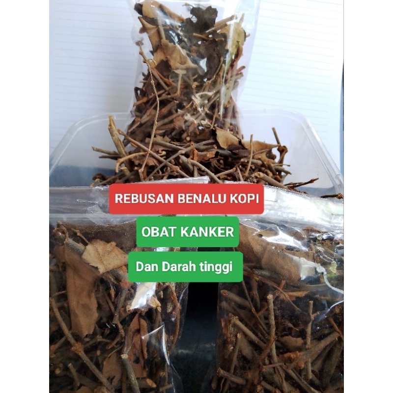 

BENALU KOPI Rebusan / Teh benalu kopi dapat mengobati Cancer