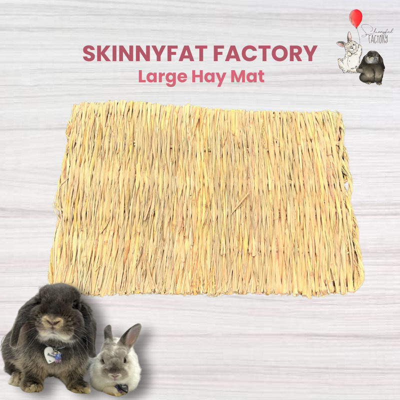 SkinnyFat Factory | Large Hay Mat - Alas Gigitan dan Menggali Kelinci, Guinea Pig, Chincilla