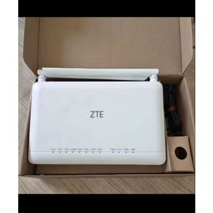 ZTE F670L port biru