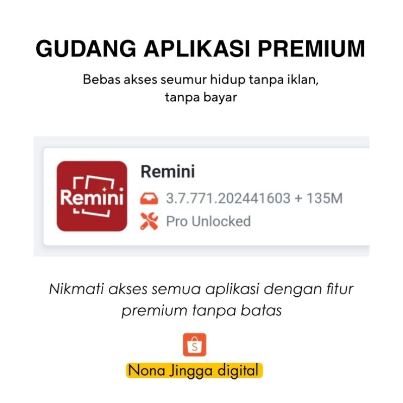 Remini Premium