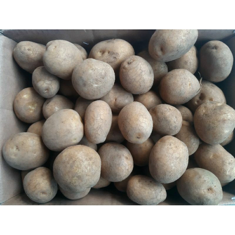 

Kentang Lokal (250gr)