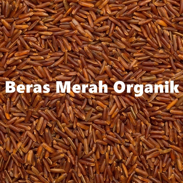 

Beras Merah Organik Tinggi Serat Low Carbo Bisa Jadi Pakan Ternak