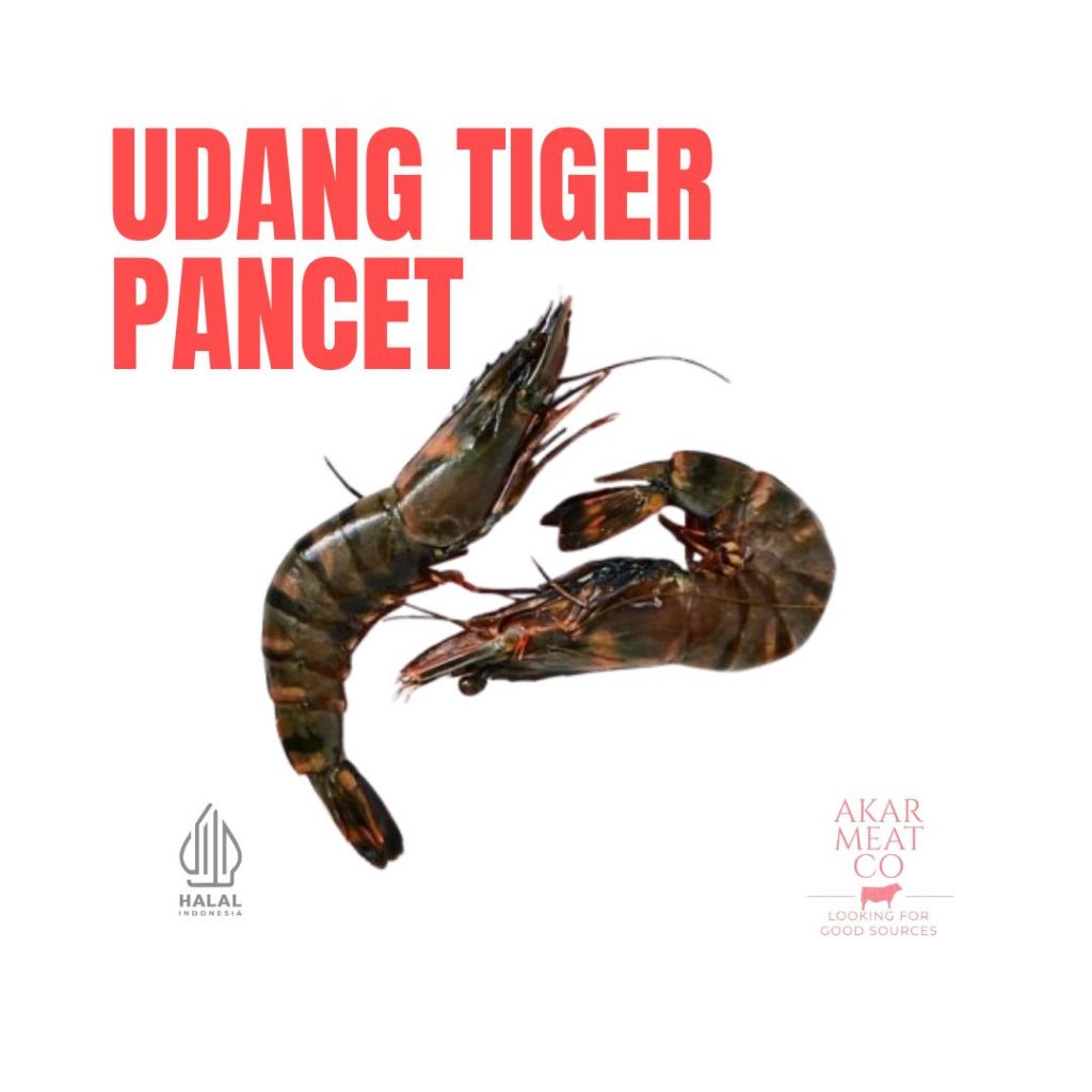 

Udang Pancet Tiger 500 gr