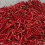 

cabe besar 1 kg Mera merona