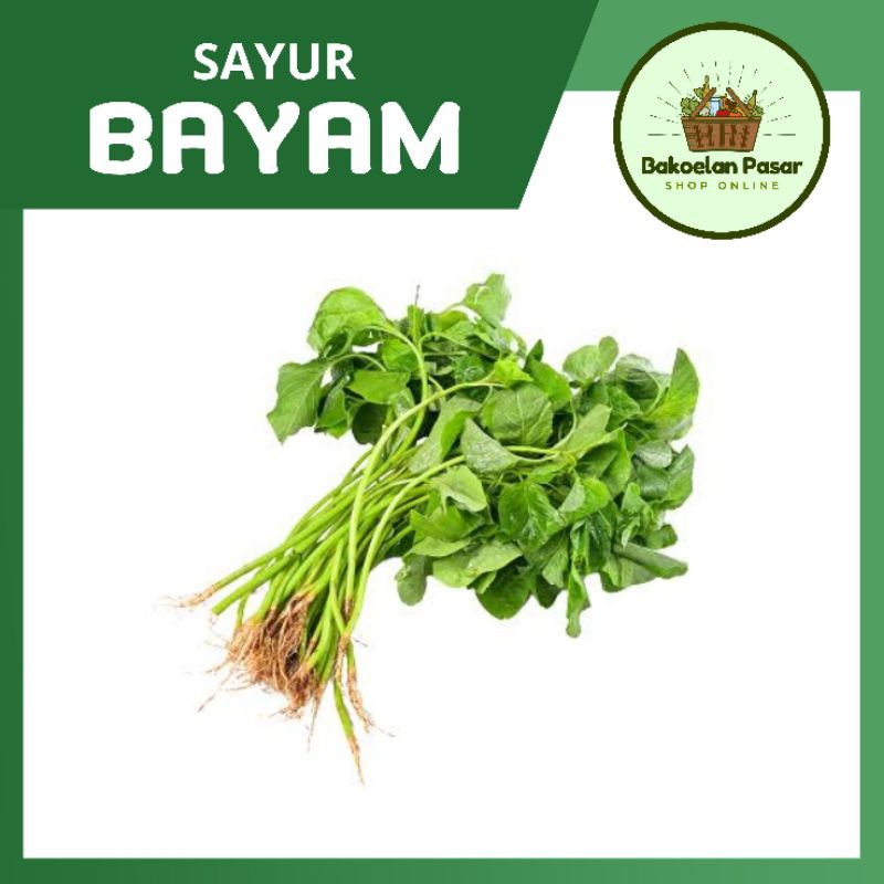 

Sayur Bayam Satu Ikat