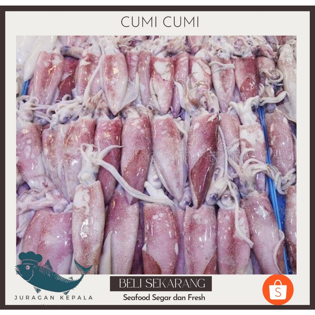 

CUMI-CUMI FRESH 500GRM-1KG