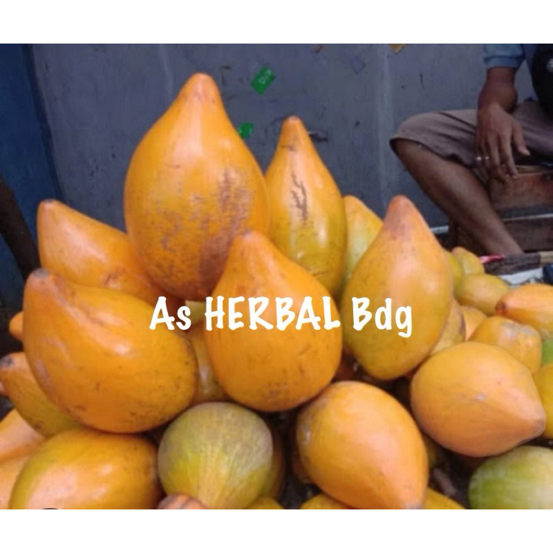 

Buah sawo mentega / sawo belanda / buah alkesa segar 1 kg