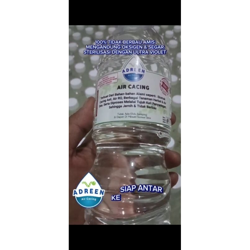 Air Cacing kesehatan / Air cacing asli / Air cacing alami