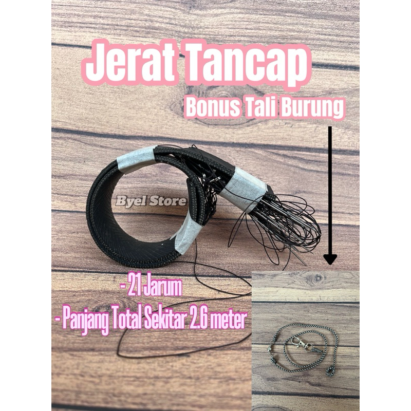 Jebakan Jerat racik model Tancap 21 mata tekukur perkutut merpati punai ruak ruak