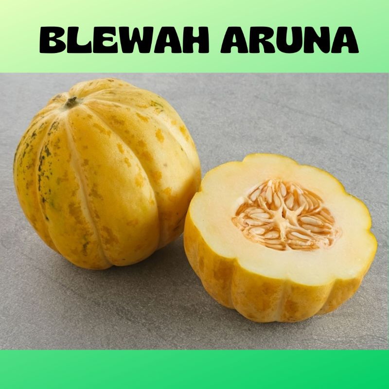 50 BIJI BENIH BUAH BLEWAH SUPER UNGGUL - ARUNA BENIH BLEWAH F1 HIBRIDA