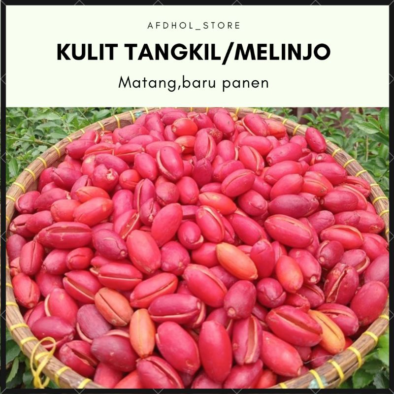 

kulit melinjo 1kg mentah dijamin segar