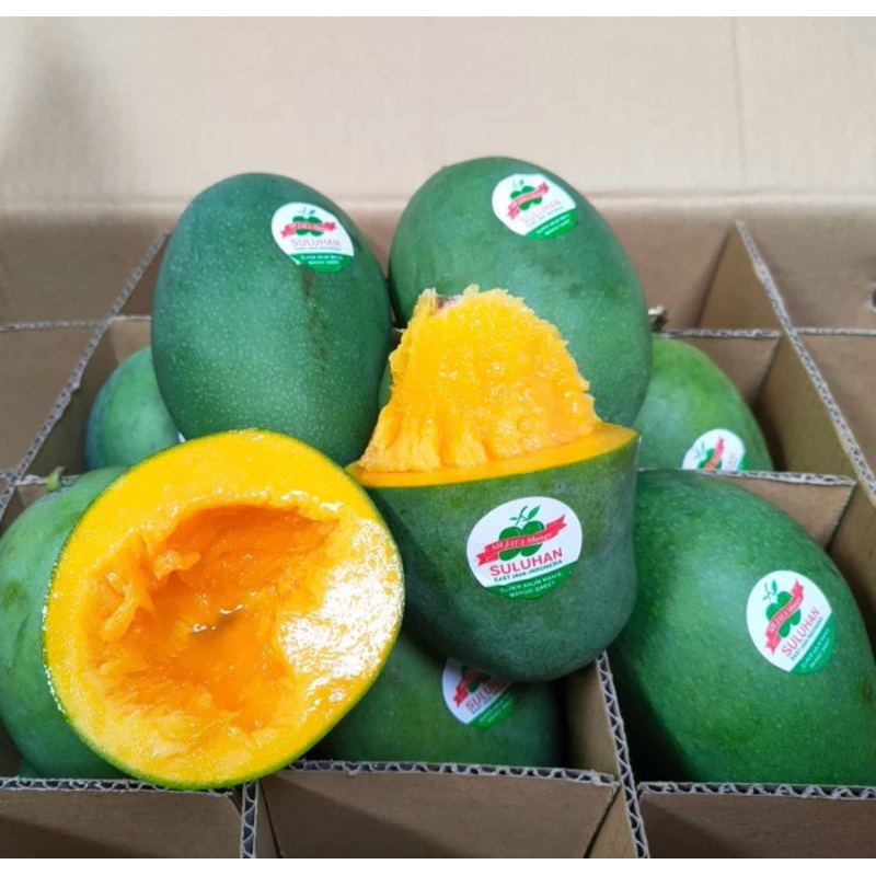 

mangga alpukat harumanis super 3kg