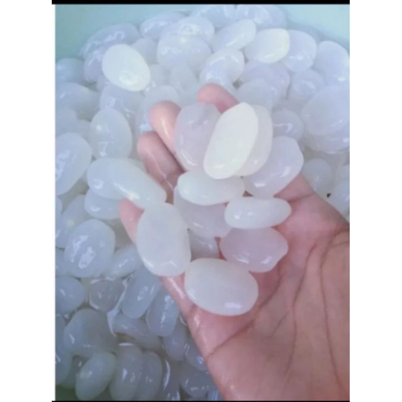 

kolang kaling muda segar 1kg