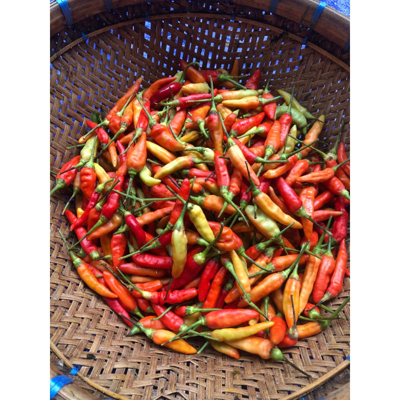 

Cabe / Cabai Rawit ORI 250 gram packing kardus