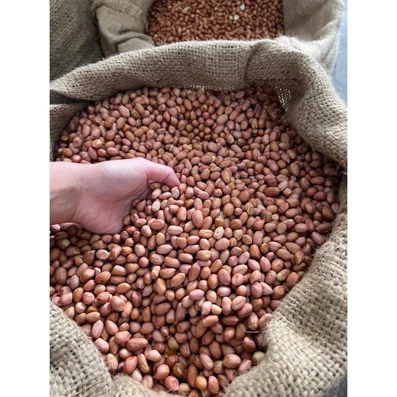 

Kacang Tanah 250g 500g 1kg Kemasan Repack Murah Meriah