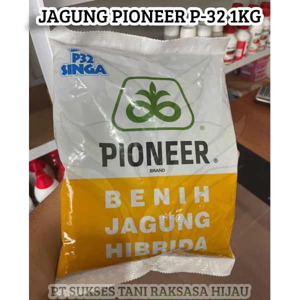 P 32 Singa Bibit Benih Jagung Pioner P32 Singa kemasan 1kg - Benih Jagung Hibrida