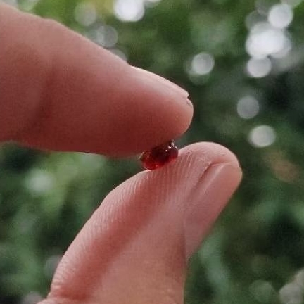 Batu mustika delima merah koclak sir alam asli temuan sepuh kuno antik pusaka