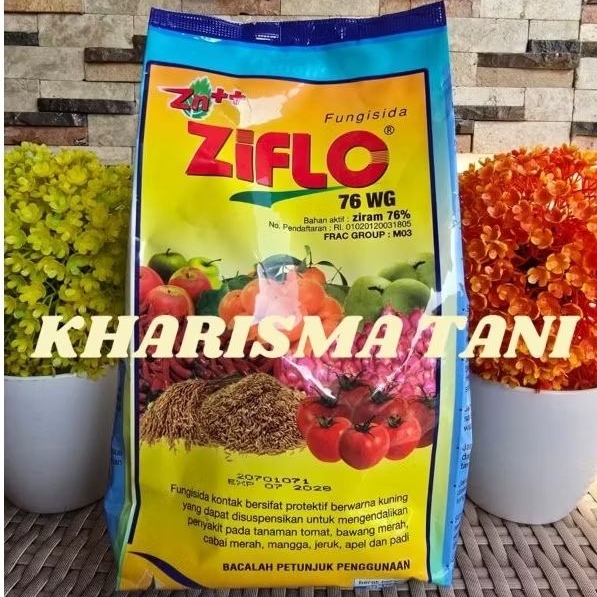 fungisida ZIFLO 76 WG 800gram
