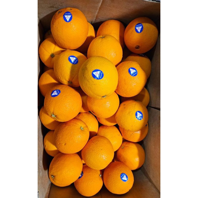 

SUNKIST CARA CARA HARGA PER KILO