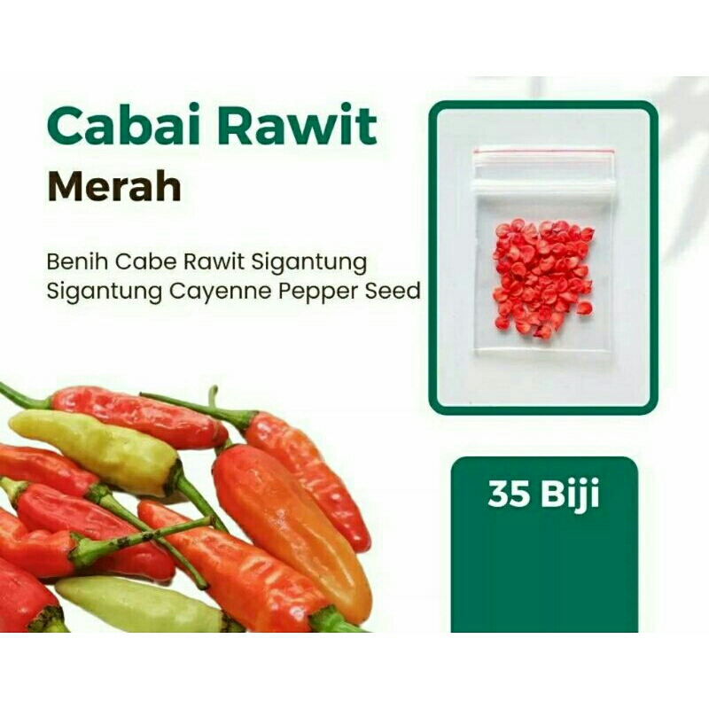 Benih cabe setan 35 biji kemasan ekonomis
