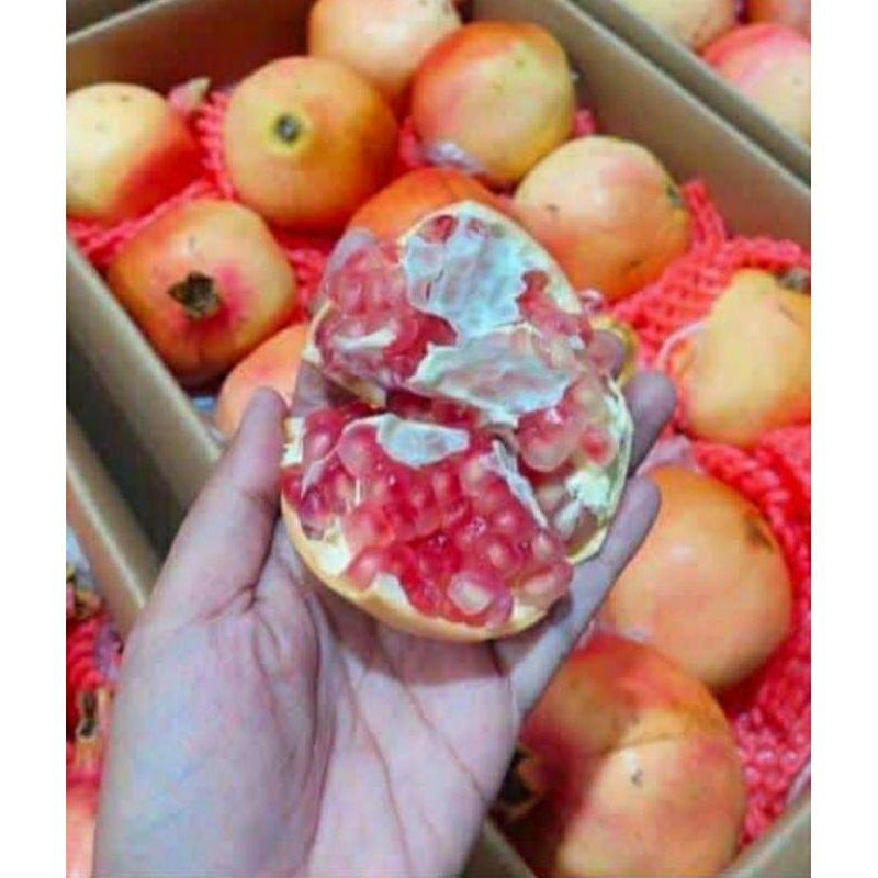 Delima merah 1 kg kaya manfaat