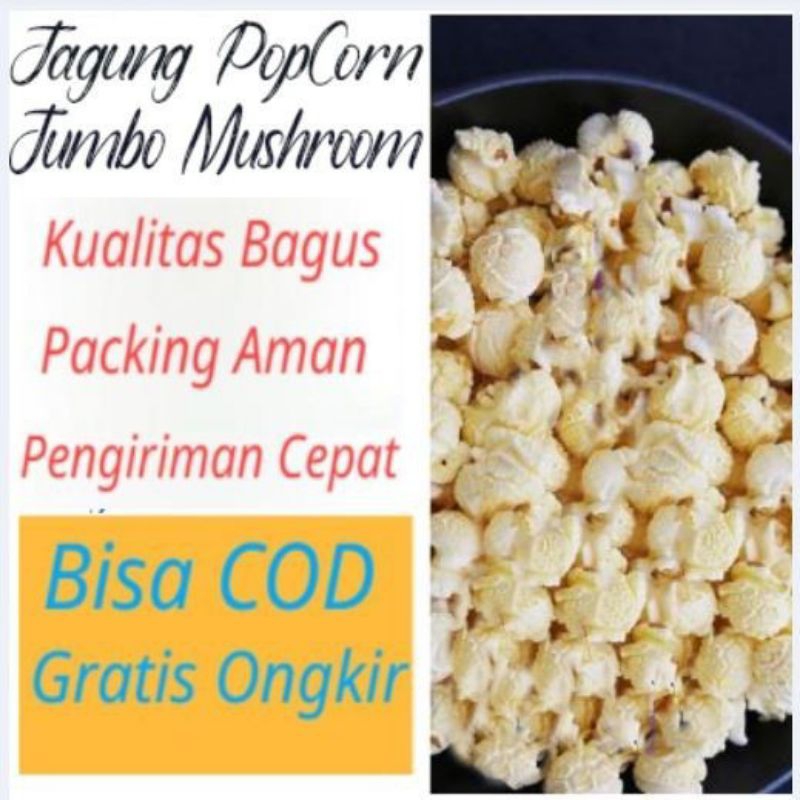 

Jagung Popcorn Mentah Mushroom Jumbo Big Ball