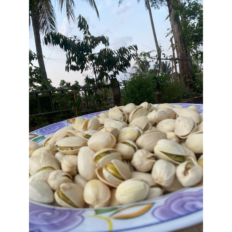 

Kacang Pistachio