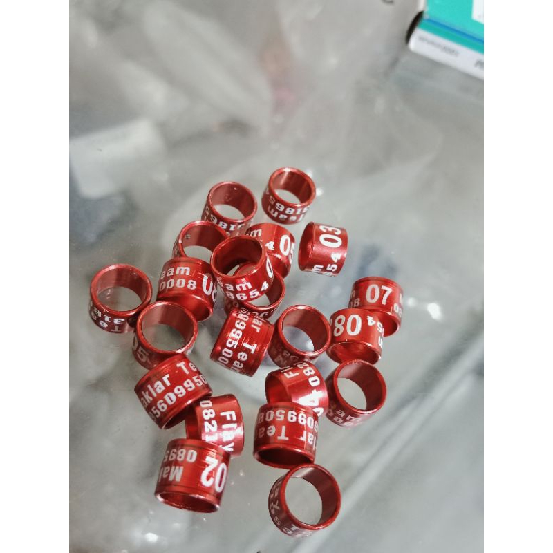 ring merpati balap dewasa bisa cetak nama isi 15 biji