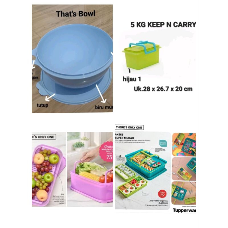 ORIGINAL TUPPERWARE THAT BOWL 7.8L/ KOTAK MODULAR CRISPER 6L / KEEP N CARRY 5KG 1PC