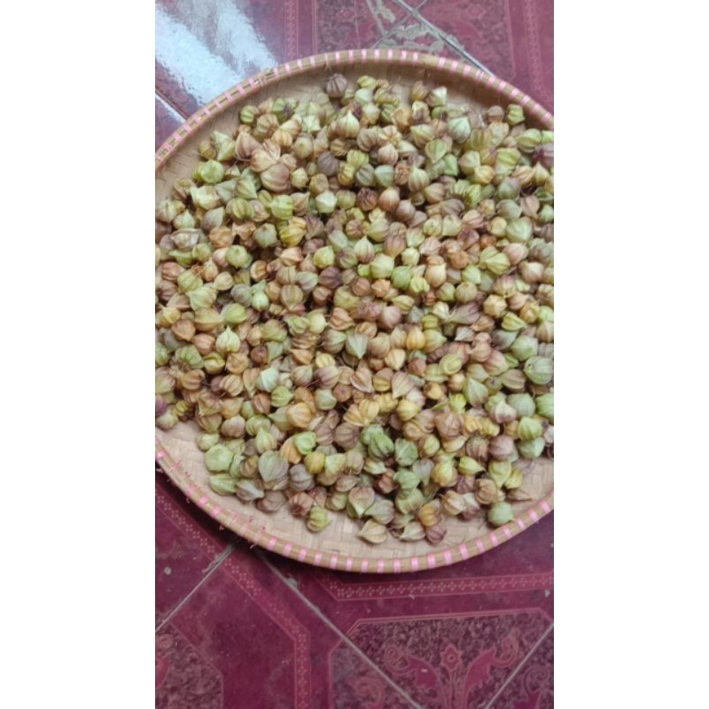 

Ciplukan/cecenet 500gr