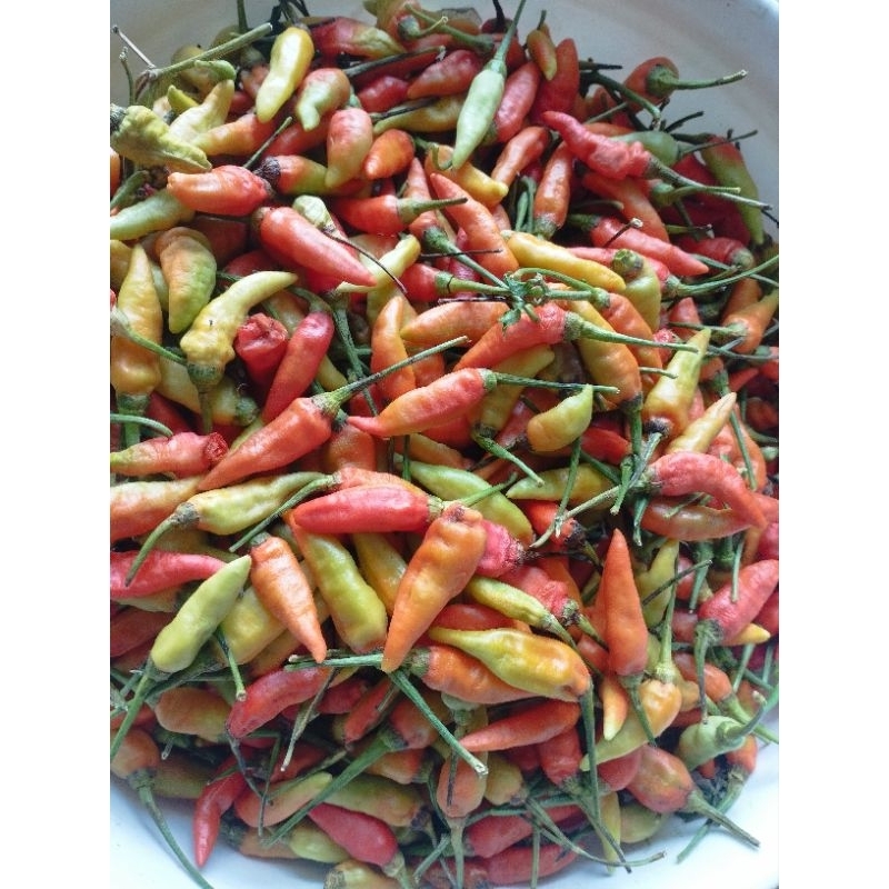 

cabe rawit merah