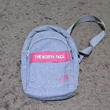 Wb/sling bag the north face