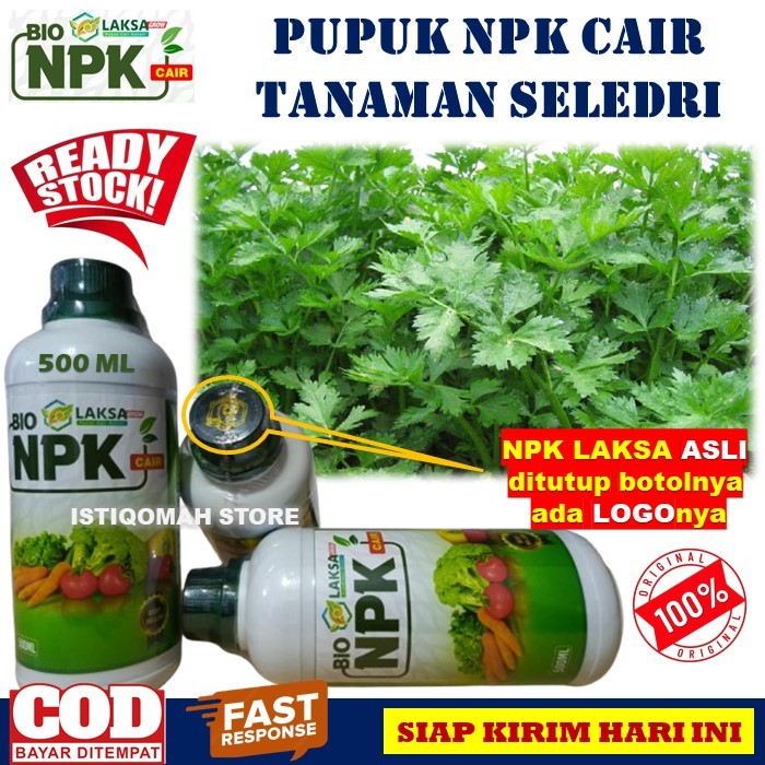 Pupuk Daun Seledri Terbaik NPK LAKSA GROW 500ML Pupuk NPK Cair untuk Tanaman Seledri yang Bagus Daun