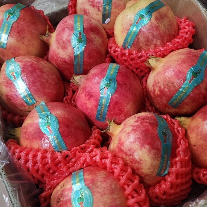 

Sugarburst Pomegranate