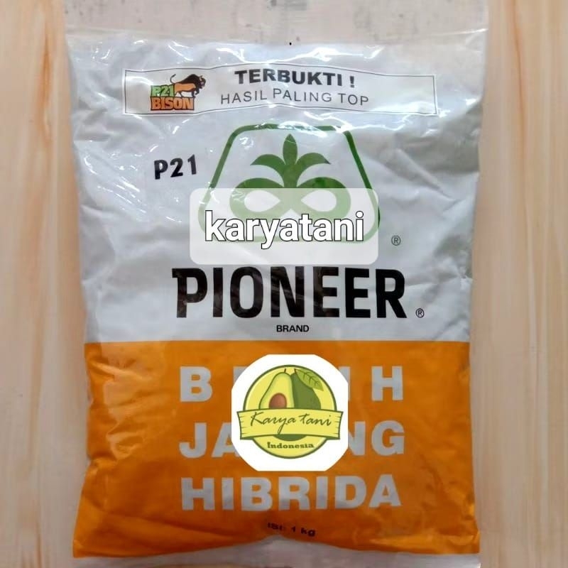 Benih jagung p21 1kg Bibit jagung pioneer p21 1kg
