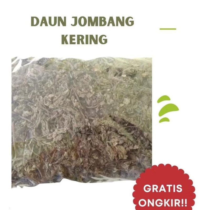 

Daun Jombang Kering 500gr dan 1kg bisa COD
