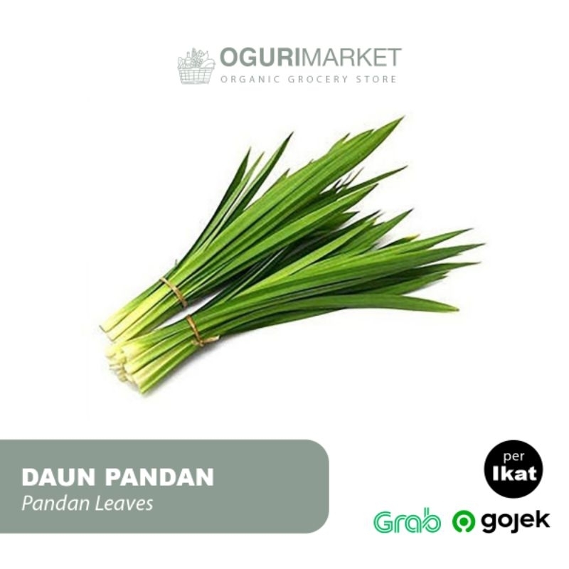 

Daun Pandan Wangi Pandan Leaves Screwpine Leaf per ikat
