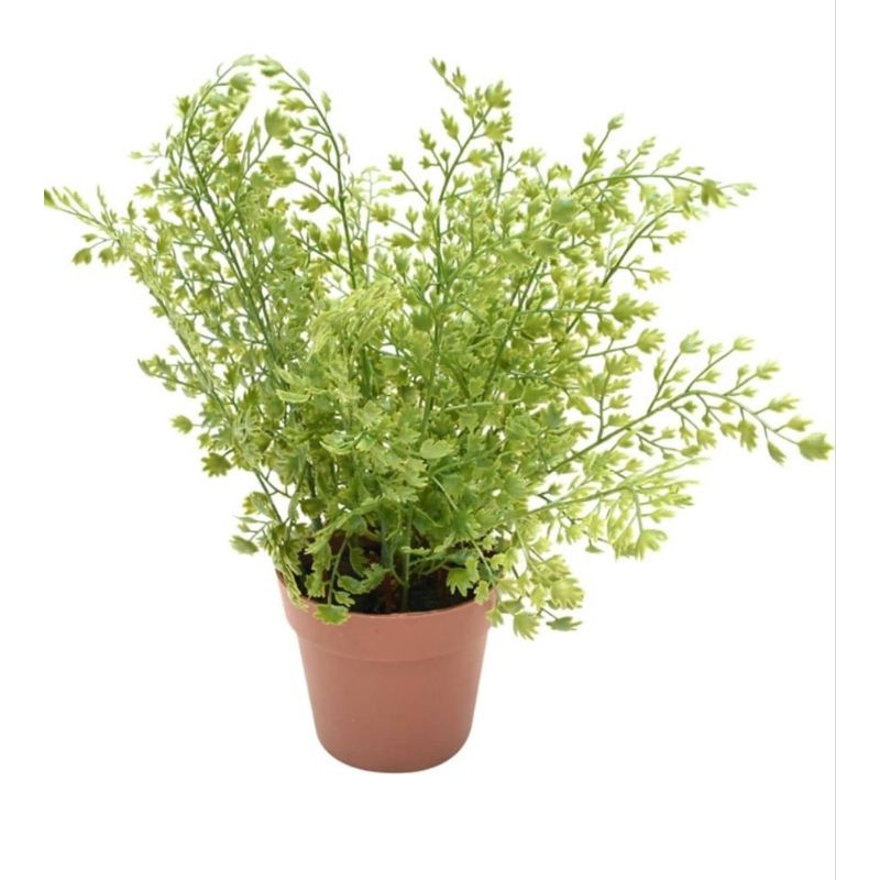 INFORMA TANAMAN HIAS//TANAMAN ARTIFICIAL//TANAMAN BUNGA