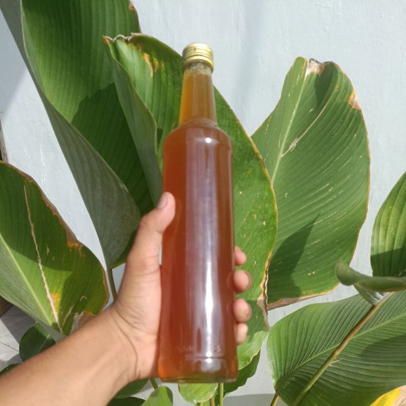 

Madu Asli - Madu Lebah Hutan