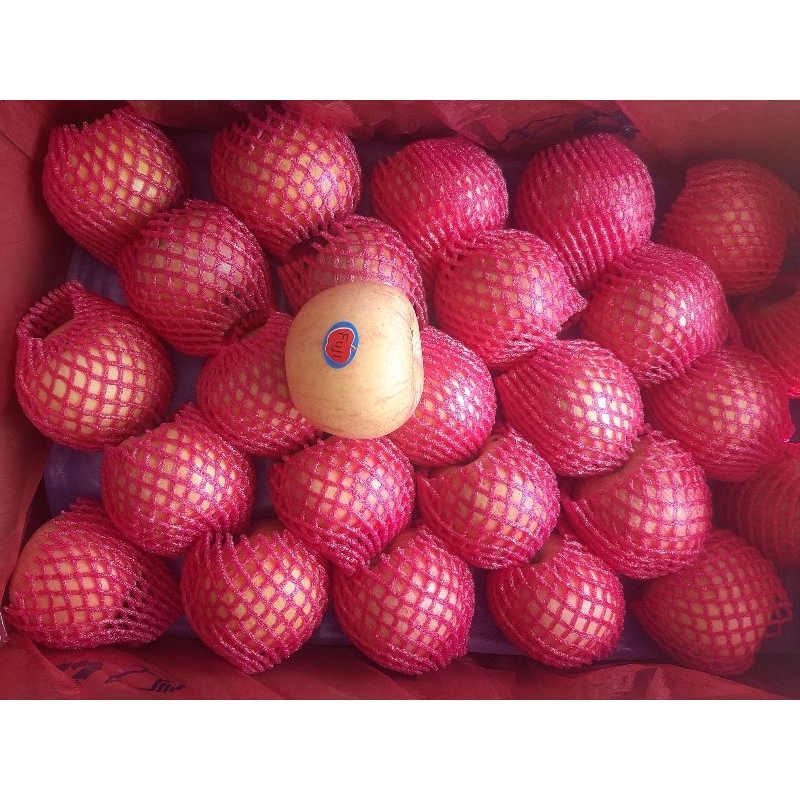 

Apel fuji 100%asli berkualitas baik