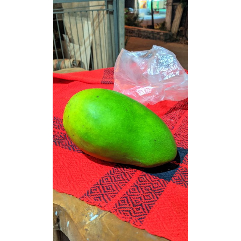 

mangga manies