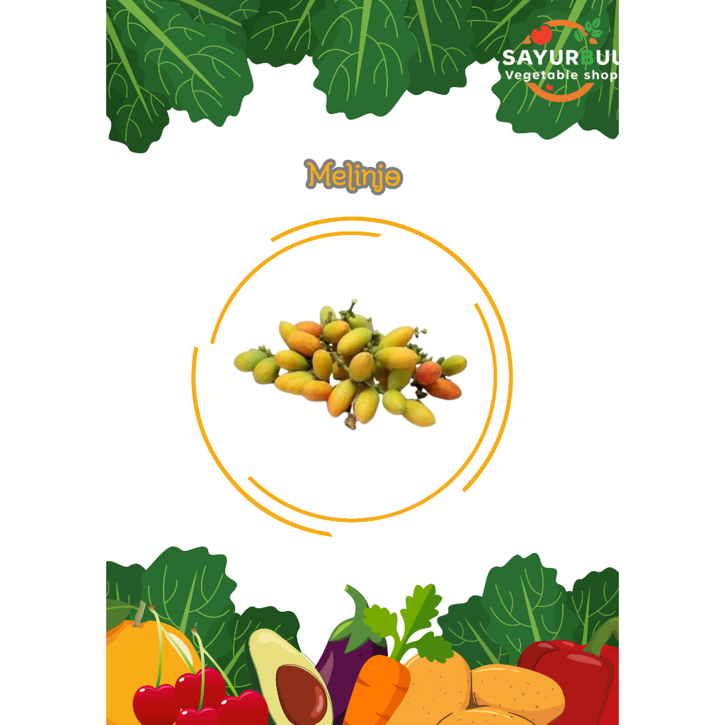 

SAYURBUU Sayuran Melinjo segar 500g