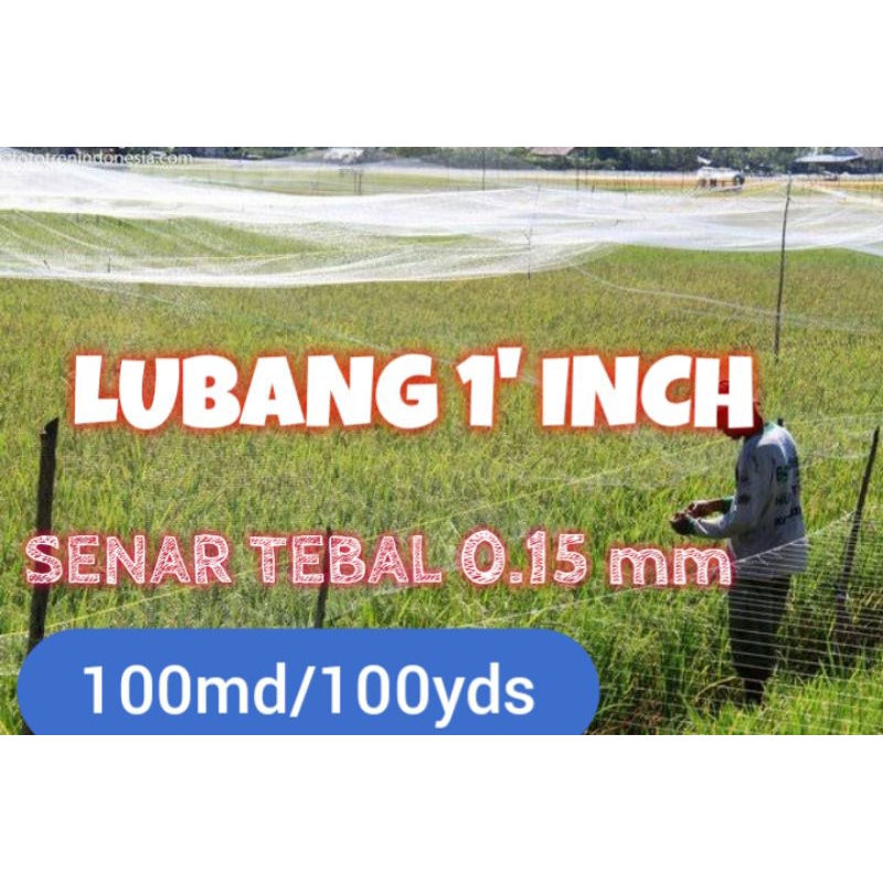 jaring burung lubang 1 inch jaring sawah jaring burung pipit jaring burung emprit jaring padi jaring