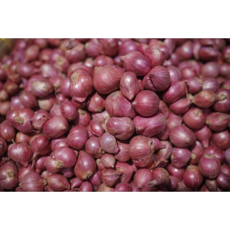 

BAWANG MERAH PROBOLINGGO SUPER berat 500 gram