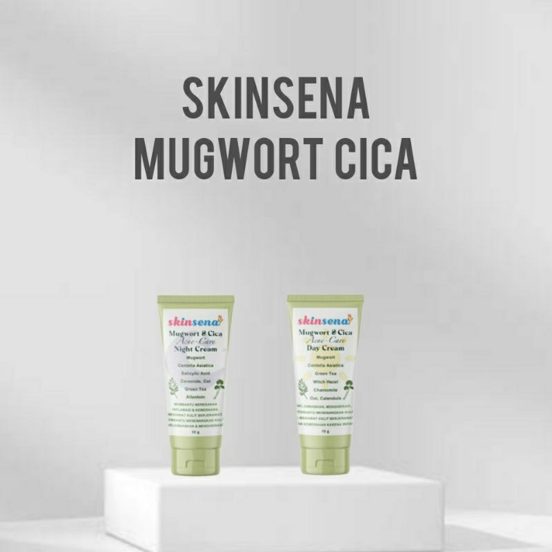 EXP 05/2025 Skinsena Glowing Acne Day / Night Cream 10gr 40gr (Reseller Resmi) krim pagi malam