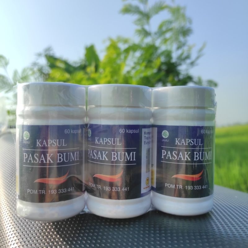 Kapsul Pasak Bumi Kalimantan original BPOM Alghuroba 60 Kapsul