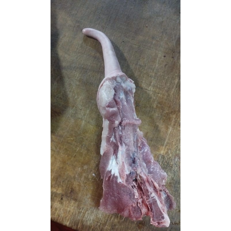 

EKOR BABI / BUNTUT / PIG TAIL BONE [500gr] [MEDAN AREA - INSTANT DELIVERY]
