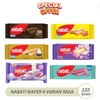 

NABATI WAFER KRIM 122 GRAM ALL VARIAN